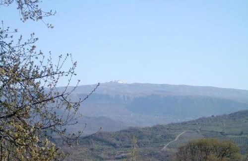 Agriturismo le Cammarose - Foto 28