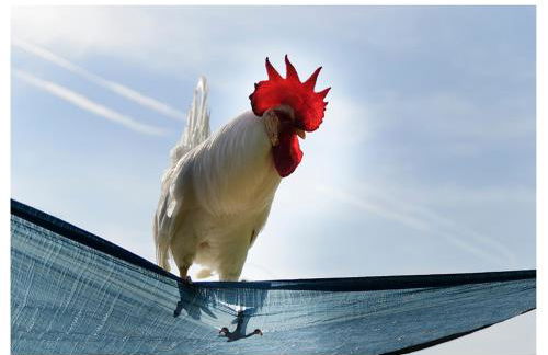 Agriturismo Monte Cologna - Photo 66