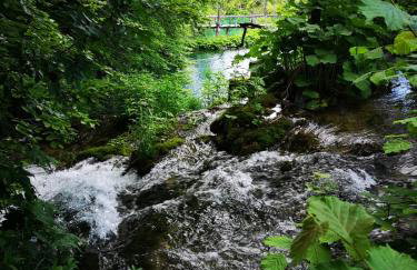 Apartment Petrovic - Foto 36