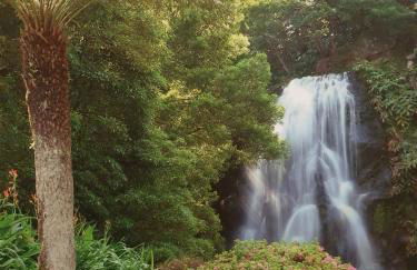 Apartamento T3 Ponta Delgada - Photo 43