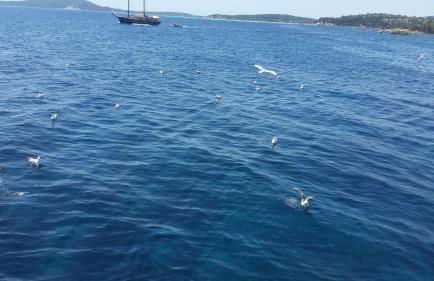 Casa Roberta - Foto 19