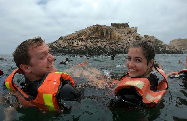 Giro in motoscafo alle Isole Palomino + Bagno con i leoni marini - Foto 7