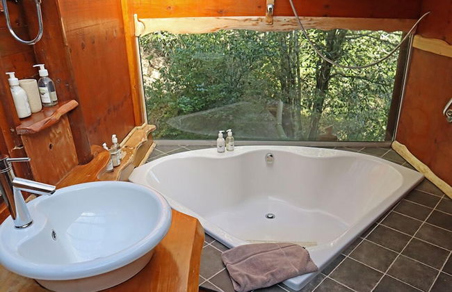 Teniqua Treetops - Foto 55