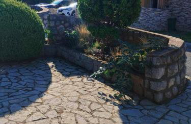 Dream In Green - Foto 54