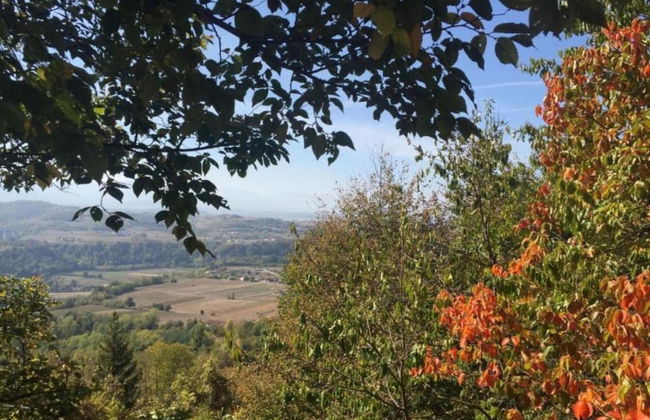 Mansion in Langhe With Pool and Winery Charm - Foto 28