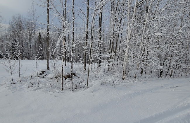 Mattawa River Resort - Foto 74