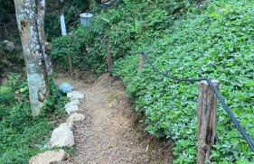 Chácara Recanto da Paz - Photo 44