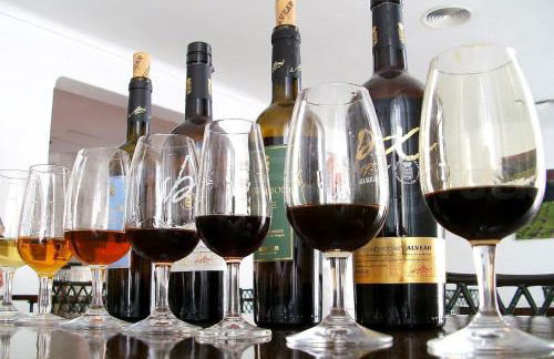 Hacienda Los Manchones - Foto 6