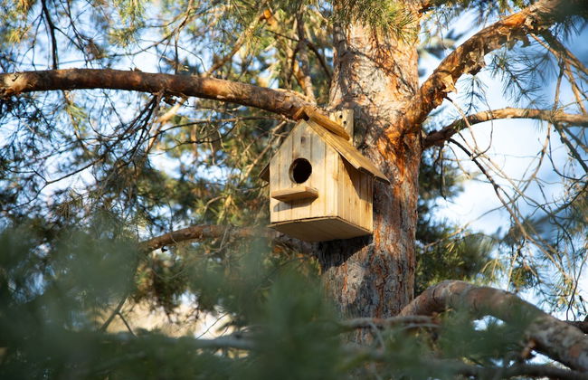 Bellissimo Garden Villa - Photo 26