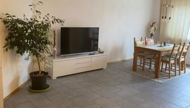 Gemütliche, sonnendurchflutete Ferienwohnung in Bodenseenähe am Säntisblick - Foto 4