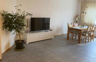 Gemütliche, sonnendurchflutete Ferienwohnung in Bodenseenähe am Säntisblick - Foto 4