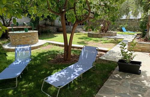 Homico 1 Lefokastro - Foto 7