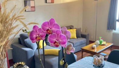 Le Nid de la Brèche - Chaleureux et accueillant quartier historique Chartres - Foto 5