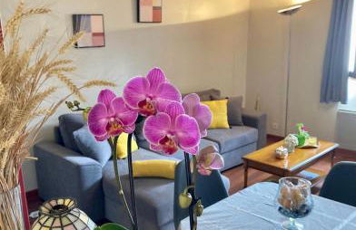 Le Nid de la Brèche - Chaleureux et accueillant quartier historique Chartres - Foto 5