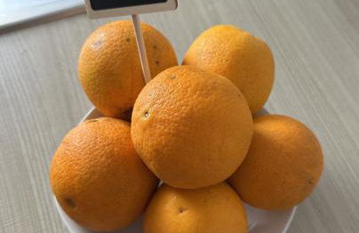 Apartamento Bahía Cullera I - Foto 11