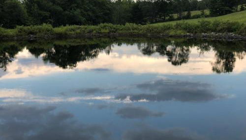 Elegant Private Barn Apartment in E Dover with 50 mile view - Foto 3, Garden view