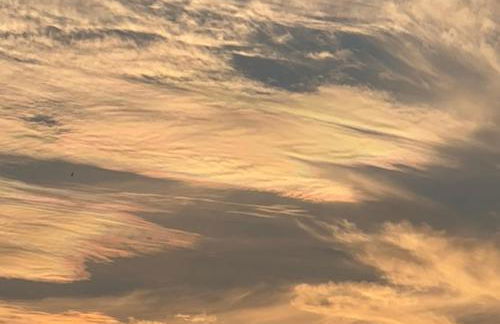 Villa Paradis - Cannes - Foto 41