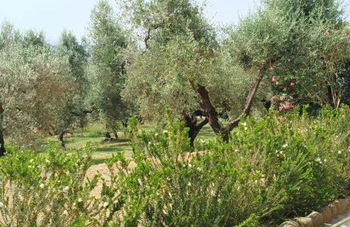 Casa Vetrialla I - Foto 23