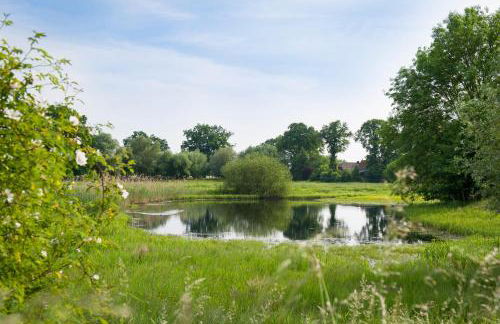 Elbferienhaus-an-der-Elbe - Foto 44