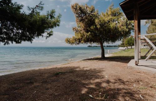 3BD Apt in The Center of Eretria - Photo 25