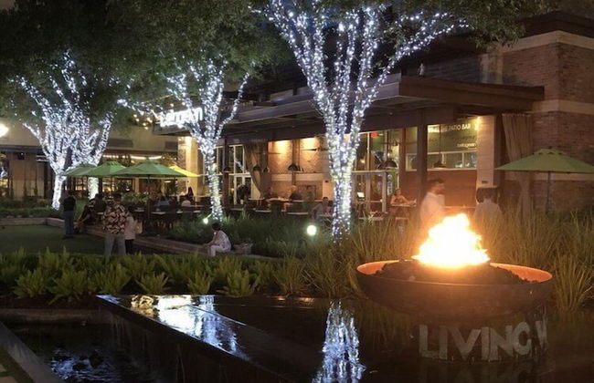 Luxury Living at City Center Houston - Photo 34