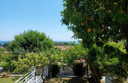 Armonia house - Foto 22