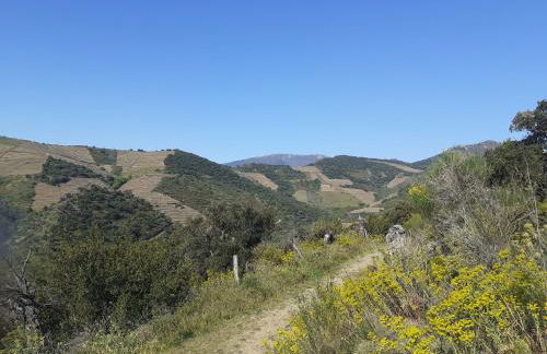 Casa azul & blanca - Foto 22