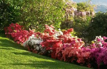 Casa Vacanze Le Violette - Foto 16