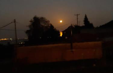 Iliana's house - Photo 54