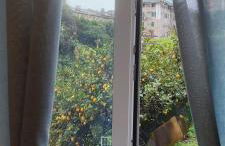 La Casa di Linda - Foto 2