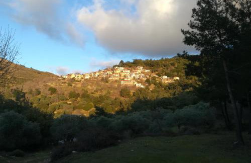 Eden View - Photo 40