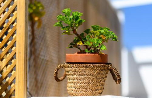 Open Air Historic Penthouse Vegueta - Foto 66