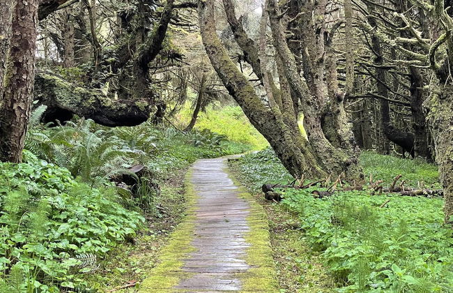 Love Shack - Photo 15