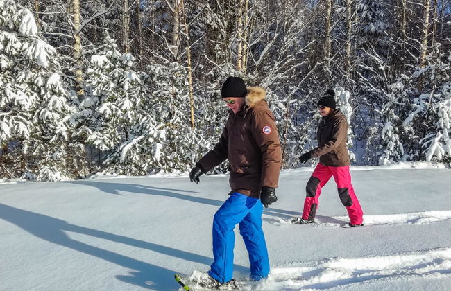 Kalliokoivu - Foto 18