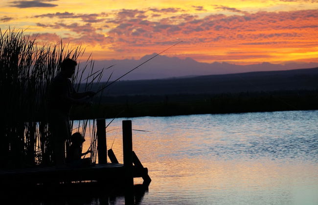 Kwetu Guest Farm - Photo 44