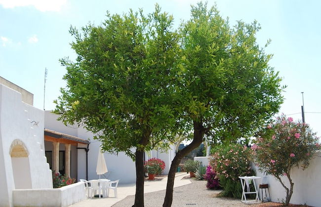 Terra di Leuca - Foto 32