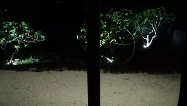 La casa dei fichi - Foto 4