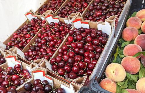 Casa Angulosa - Foto 29