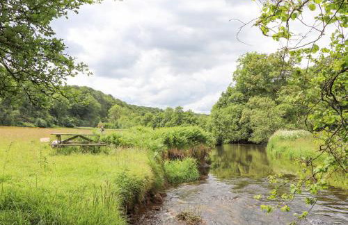 Skiber Coombe - Photo 34