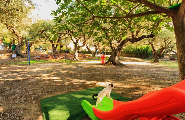 Alykes Park Bungalows & Apt - Foto 19