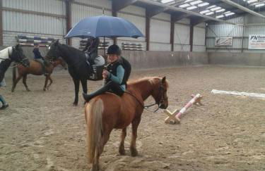 Wohlfühlurlaub auf dem Reit- und Ferienhof Goldberg - Foto 65