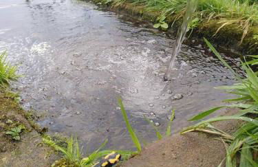 La chouette dort le gîte du retour à la source - Photo 27