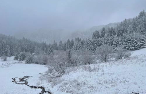 Appartement 11 - Au cœur du Lac Blanc - Foto 17