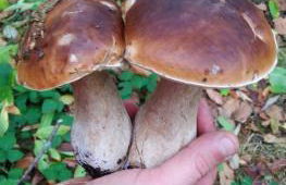 Casa las Niñas - Photo 6