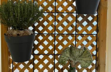 The island studio - Foto 34