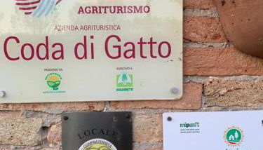 Agriturismo coda di gatto - Foto 2