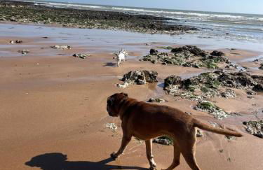 Dog friendly Beach Apartment - Foto 2