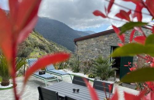 The Garden - Foto 25