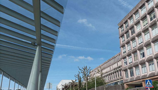 Passeando junto à Faculdade de Enfermagem