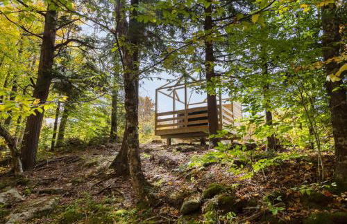 Smuggler's Notch Mountain House with hot tub & river - Foto 68